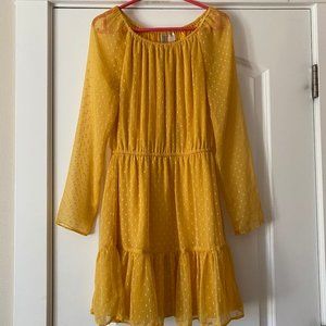 H&M Sheer Chiffon Dress